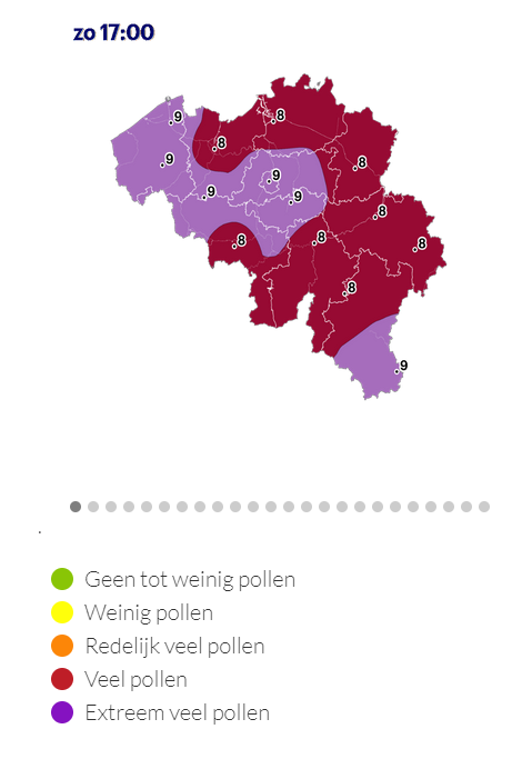 Extreme levels of pollen